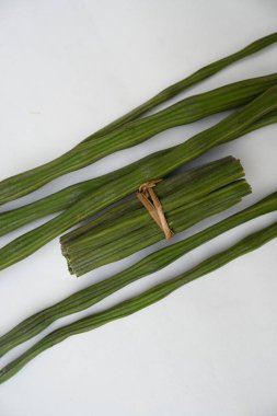 Moringa oleifera ya da beyaz arka planda baget kapsülleri. Bu bir Moringaceae aile ağacı. Diğer adları Moringa, yabanturpu, ve Ben yağı ve benzolive. Popüler bir sebzedir..