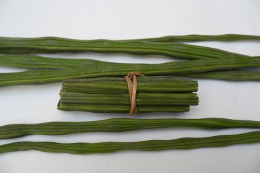 Moringa oleifera ya da beyaz arka planda baget kapsülleri. Bu bir Moringaceae aile ağacı. Diğer adları Moringa, yabanturpu, ve Ben yağı ve benzolive. Popüler bir sebzedir..