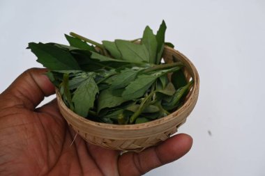 Beyaz arkaplanda Chenopodium albümü. Chenopodium cinsi içinde hızla büyüyen bir ottur. Diğer isimleri kuzuların çeyreklikleri, eritme, kaz ayağı, yabani spinachand tavuğu. popüler yeşiller.