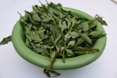 Beyaz arkaplanda Chenopodium albümü. Chenopodium cinsi içinde hızla büyüyen bir ottur. Diğer isimleri kuzuların çeyreklikleri, eritme, kaz ayağı, yabani spinachand tavuğu. popüler yeşiller.