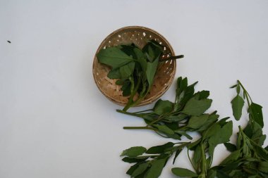 Beyaz arkaplanda Chenopodium albümü. Chenopodium cinsi içinde hızla büyüyen bir ottur. Diğer isimleri kuzuların çeyreklikleri, eritme, kaz ayağı, yabani spinachand tavuğu. popüler yeşiller.