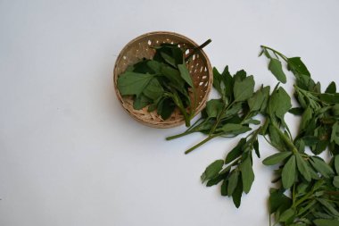 Beyaz arkaplanda Chenopodium albümü. Chenopodium cinsi içinde hızla büyüyen bir ottur. Diğer isimleri kuzuların çeyreklikleri, eritme, kaz ayağı, yabani spinachand tavuğu. popüler yeşiller.