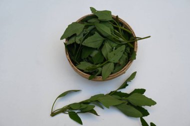 Beyaz arkaplanda Chenopodium albümü. Chenopodium cinsi içinde hızla büyüyen bir ottur. Diğer isimleri kuzuların çeyreklikleri, eritme, kaz ayağı, yabani spinachand tavuğu. popüler yeşiller.