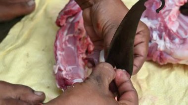 Keçi eti doğrama. Hint köyündeki geleneksel demir aletlerden taze çiğ ya da pişmemiş koyun eti. Keçi etini küçük parçalara ayırmak..