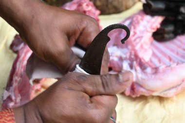 Keçi eti doğrama. Hint köyündeki geleneksel demir aletlerden taze çiğ ya da pişmemiş koyun eti. Keçi etini küçük parçalara ayırmak..