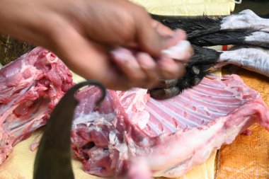 Keçi eti doğrama. Hint köyündeki geleneksel demir aletlerden taze çiğ ya da pişmemiş koyun eti. Keçi etini küçük parçalara ayırmak..