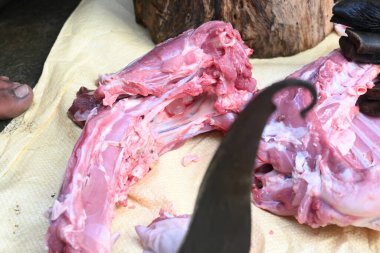 Keçi eti doğrama. Hint köyündeki geleneksel demir aletlerden taze çiğ ya da pişmemiş koyun eti. Keçi etini küçük parçalara ayırmak..