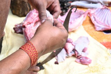 Keçi eti doğrama. Hint köyündeki geleneksel demir aletlerden taze çiğ ya da pişmemiş koyun eti. Keçi etini küçük parçalara ayırmak..