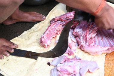 Keçi eti doğrama. Hint köyündeki geleneksel demir aletlerden taze çiğ ya da pişmemiş koyun eti. Keçi etini küçük parçalara ayırmak..