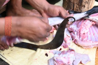 Keçi eti doğrama. Hint köyündeki geleneksel demir aletlerden taze çiğ ya da pişmemiş koyun eti. Keçi etini küçük parçalara ayırmak..