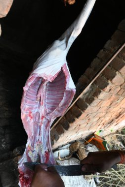 Keçi eti doğrama. Hint köyündeki geleneksel demir aletlerden taze çiğ ya da pişmemiş koyun eti. Keçi etini küçük parçalara ayırmak..