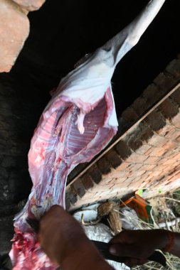 Keçi eti doğrama. Hint köyündeki geleneksel demir aletlerden taze çiğ ya da pişmemiş koyun eti. Keçi etini küçük parçalara ayırmak..