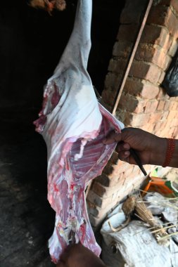 Keçi eti doğrama. Hint köyündeki geleneksel demir aletlerden taze çiğ ya da pişmemiş koyun eti. Keçi etini küçük parçalara ayırmak..