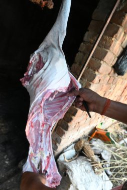 Keçi eti doğrama. Hint köyündeki geleneksel demir aletlerden taze çiğ ya da pişmemiş koyun eti. Keçi etini küçük parçalara ayırmak..