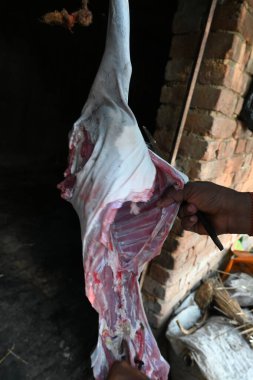Keçi eti doğrama. Hint köyündeki geleneksel demir aletlerden taze çiğ ya da pişmemiş koyun eti. Keçi etini küçük parçalara ayırmak..