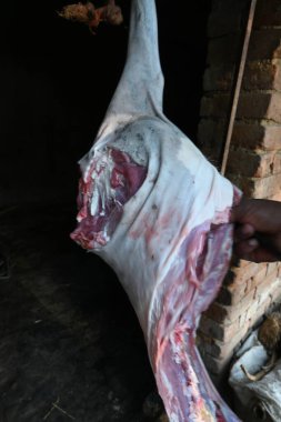 Keçi eti doğrama. Hint köyündeki geleneksel demir aletlerden taze çiğ ya da pişmemiş koyun eti. Keçi etini küçük parçalara ayırmak..