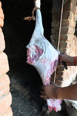 Keçi eti doğrama. Hint köyündeki geleneksel demir aletlerden taze çiğ ya da pişmemiş koyun eti. Keçi etini küçük parçalara ayırmak..