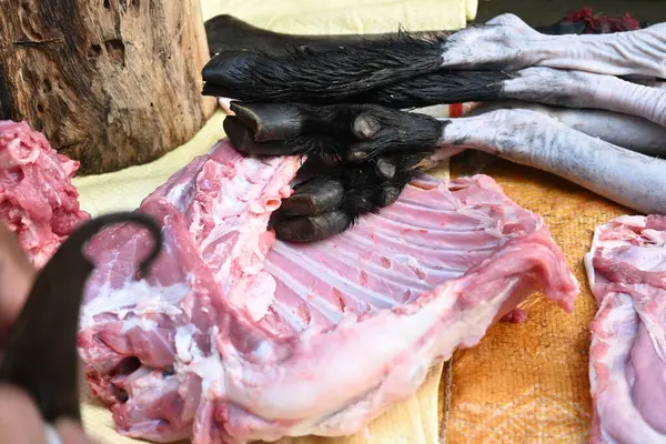 Keçi eti doğrama. Hint köyündeki geleneksel demir aletlerden taze çiğ ya da pişmemiş koyun eti. Keçi etini küçük parçalara ayırmak..