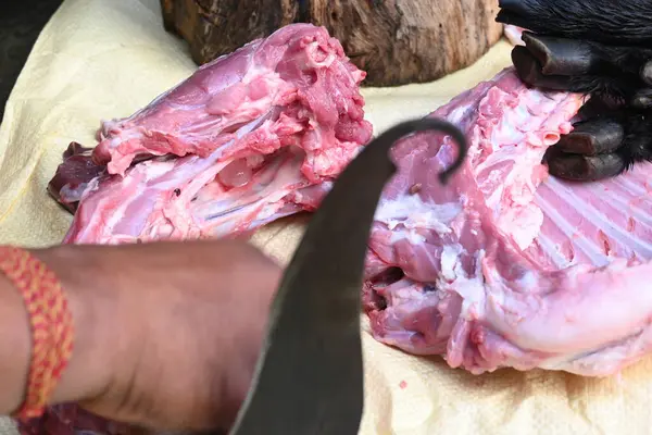 Keçi eti doğrama. Hint köyündeki geleneksel demir aletlerden taze çiğ ya da pişmemiş koyun eti. Keçi etini küçük parçalara ayırmak..