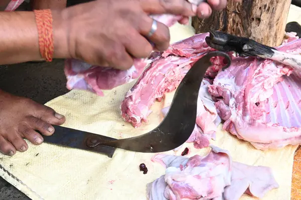 Keçi eti doğrama. Hint köyündeki geleneksel demir aletlerden taze çiğ ya da pişmemiş koyun eti. Keçi etini küçük parçalara ayırmak..