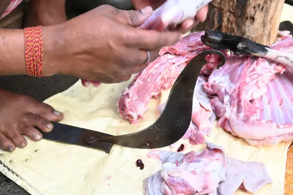 Keçi eti doğrama. Hint köyündeki geleneksel demir aletlerden taze çiğ ya da pişmemiş koyun eti. Keçi etini küçük parçalara ayırmak..