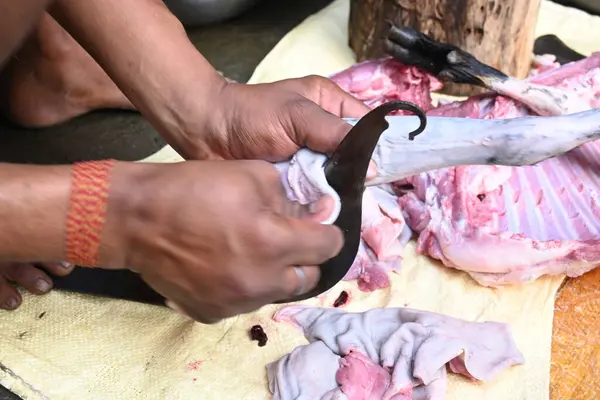 Keçi eti doğrama. Hint köyündeki geleneksel demir aletlerden taze çiğ ya da pişmemiş koyun eti. Keçi etini küçük parçalara ayırmak..