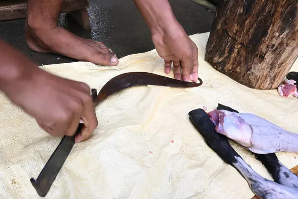 Keçi eti doğrama. Hint köyündeki geleneksel demir aletlerden taze çiğ ya da pişmemiş koyun eti. Keçi etini küçük parçalara ayırmak..