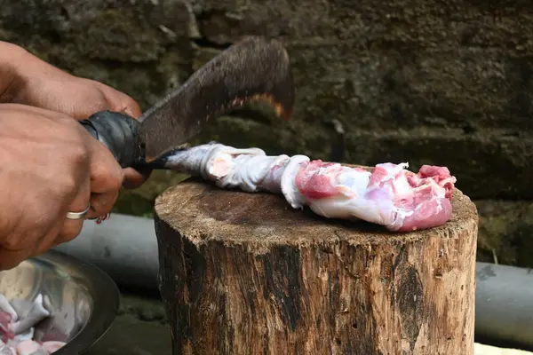 Tahtada keçi eti doğramak. Hint köyündeki geleneksel demir aletlerden taze çiğ ya da pişmemiş koyun eti. Keçi etini küçük parçalara ayırmak..