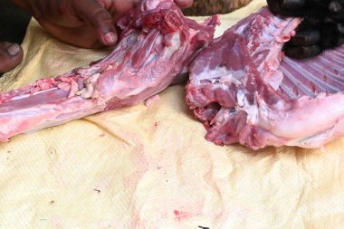 Taze çiğ ya da pişmemiş keçi eti. Geleneksel Hint köyünde koyun kesimi. Keçi etini parçalara ayırmak..
