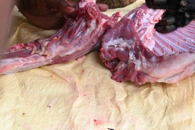 Taze çiğ ya da pişmemiş keçi eti. Geleneksel Hint köyünde koyun kesimi. Keçi etini parçalara ayırmak..