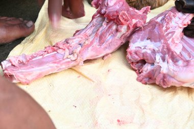 Taze çiğ ya da pişmemiş keçi eti. Geleneksel Hint köyünde koyun kesimi. Keçi etini parçalara ayırmak..