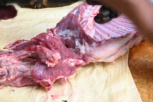 Taze çiğ ya da pişmemiş keçi eti. Geleneksel Hint köyünde koyun kesimi. Keçi etini parçalara ayırmak..