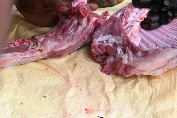 Taze çiğ ya da pişmemiş keçi eti. Geleneksel Hint köyünde koyun kesimi. Keçi etini parçalara ayırmak..