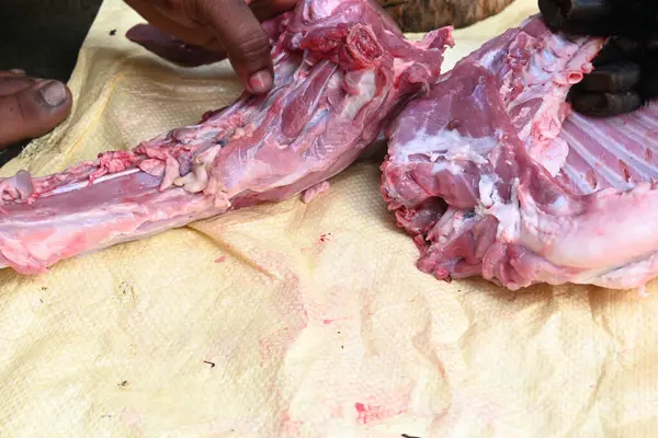 Taze çiğ ya da pişmemiş keçi eti. Geleneksel Hint köyünde koyun kesimi. Keçi etini parçalara ayırmak..