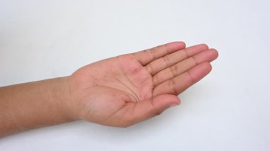 Canlı taze sebze karışımı. İçinde brokoli, karnabahar, domates, havuç, yeşil fasulye ve bezelye var. Bahar mevsiminin renkli sebzeleri, sağlık için iyidir. Renkli ekran.