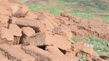 Çiğ kil tuğlalar suya batırılmış. Kurumuş çamur tuğlaları, yağmur suyunda ıslanarak mahvolmuş. Tuğla üretimi.