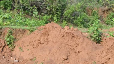 Toprak yığını. Toprak çıkarıldı ve kil tuğla haline getirildi. Doğal ortamda kırmızı toprak.