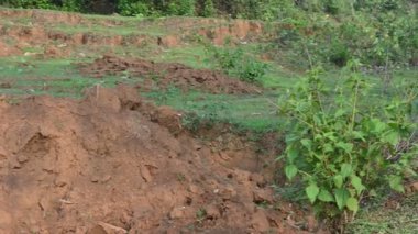 Toprak yığını. Toprak çıkarıldı ve kil tuğla haline getirildi. Doğal ortamda kırmızı toprak.