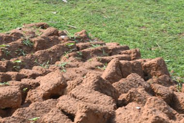 Çiğ kil tuğlalar suya batırılmış. Kurumuş çamur tuğlaları, yağmur suyunda ıslanarak mahvolmuş. Tuğla üretimi.