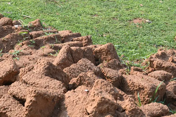 Çiğ kil tuğlalar suya batırılmış. Kurumuş çamur tuğlaları, yağmur suyunda ıslanarak mahvolmuş. Tuğla üretimi.
