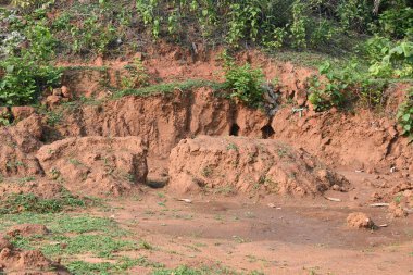 Toprak yığını. Toprak çıkarıldı ve kil tuğla haline getirildi. Doğal ortamda kırmızı toprak.