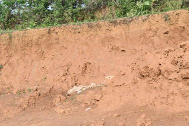 Toprak yığını. Toprak çıkarıldı ve kil tuğla haline getirildi. Doğal ortamda kırmızı toprak.