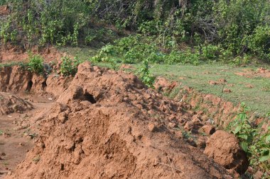 Toprak yığını. Toprak çıkarıldı ve kil tuğla haline getirildi. Doğal ortamda kırmızı toprak.