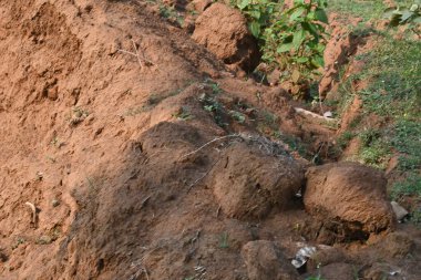 Toprak yığını. Toprak çıkarıldı ve kil tuğla haline getirildi. Doğal ortamda kırmızı toprak.