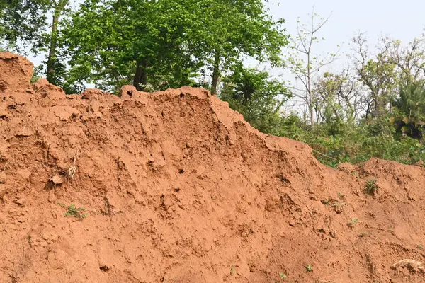 Toprak yığını. Toprak çıkarıldı ve kil tuğla haline getirildi. Doğal ortamda kırmızı toprak.