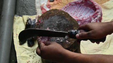 Keçi eti doğrama. Hint köyündeki geleneksel demir aletlerden taze çiğ ya da pişmemiş koyun eti. Keçi etini küçük parçalara ayırmak. Yavaş çekim videosu. 