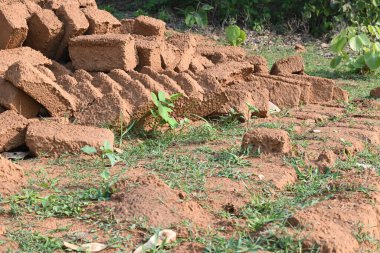 Çiğ kil tuğlalar suya batırılmış. Kurumuş çamur tuğlaları, yağmur suyunda ıslanarak mahvolmuş. Tuğla üretimi.