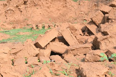 Çiğ kil tuğlalar suya batırılmış. Kurumuş çamur tuğlaları, yağmur suyunda ıslanarak mahvolmuş. Tuğla üretimi.