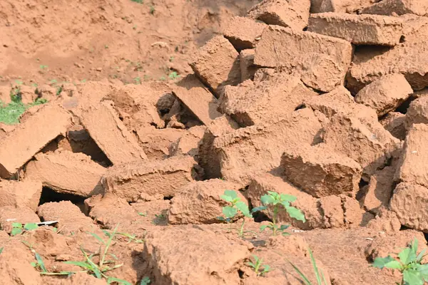 Çiğ kil tuğlalar suya batırılmış. Kurumuş çamur tuğlaları, yağmur suyunda ıslanarak mahvolmuş. Tuğla üretimi.