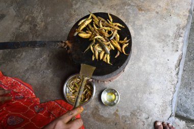 Small Snakehead or Channa orientalis Fish being fried in a pan. Fish are typically marinated with spices like turmeric, salt, and chili powder before being deep fried until they are crispy and golden.